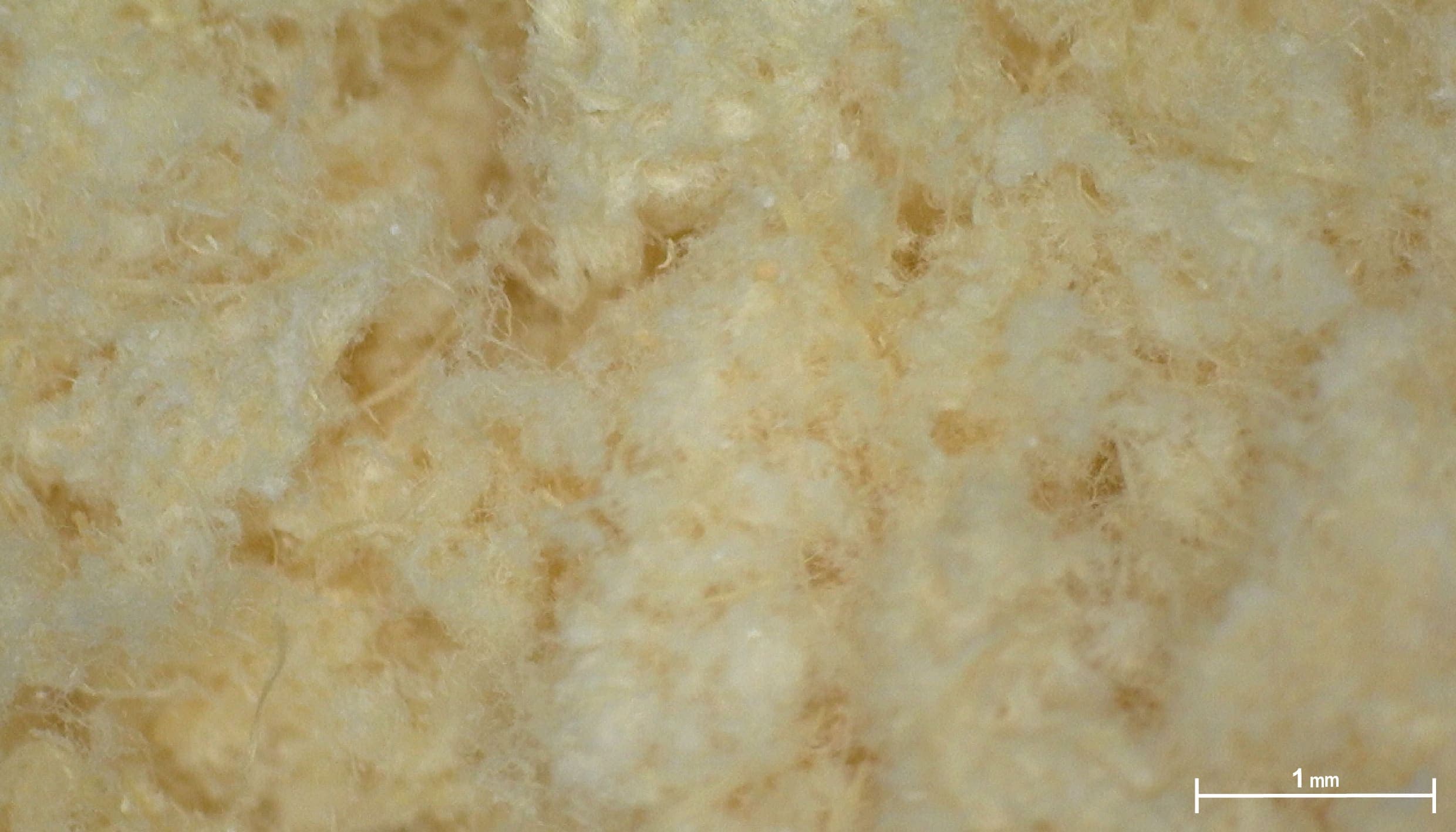 fabric-image