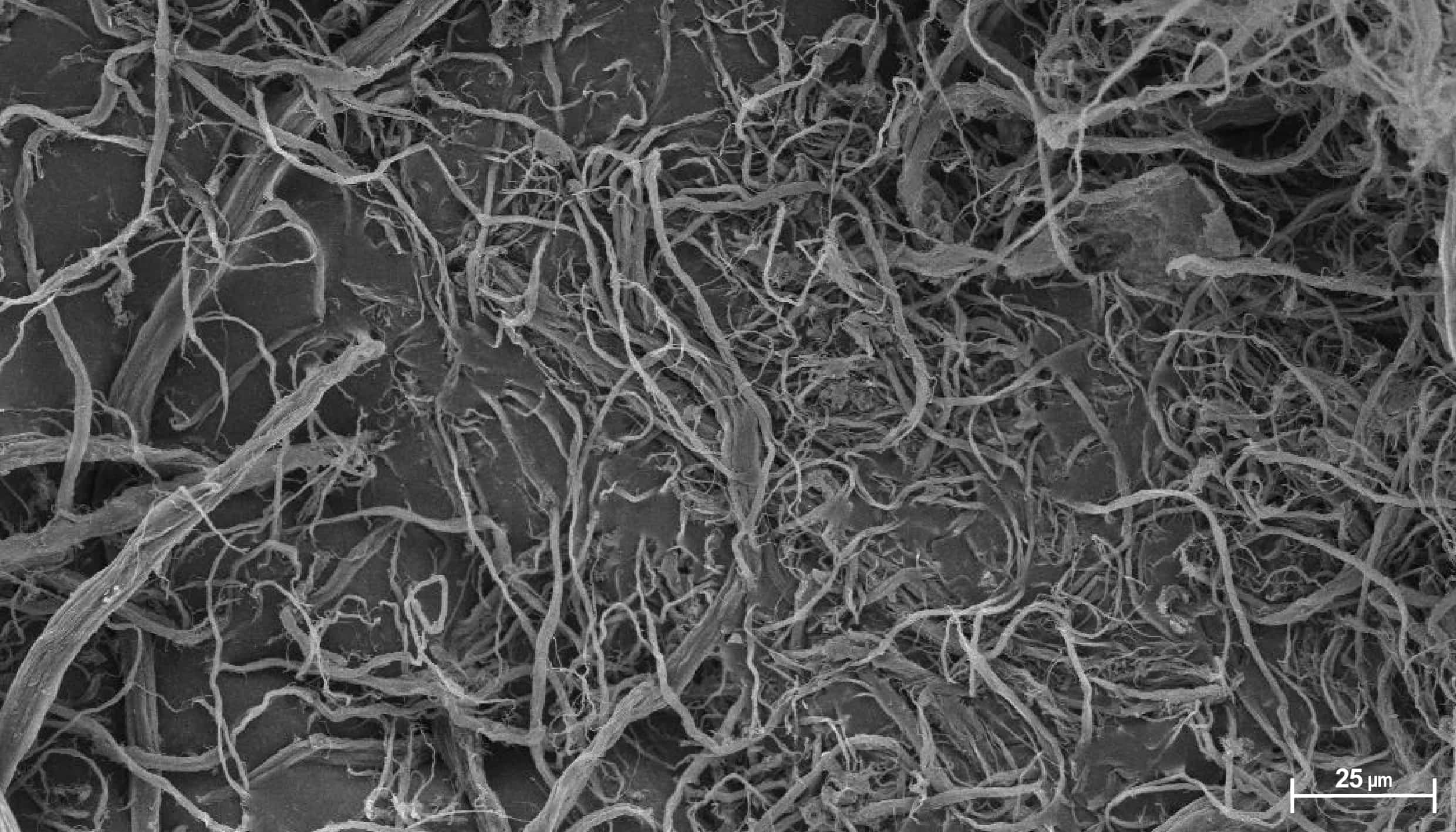 fabric-image