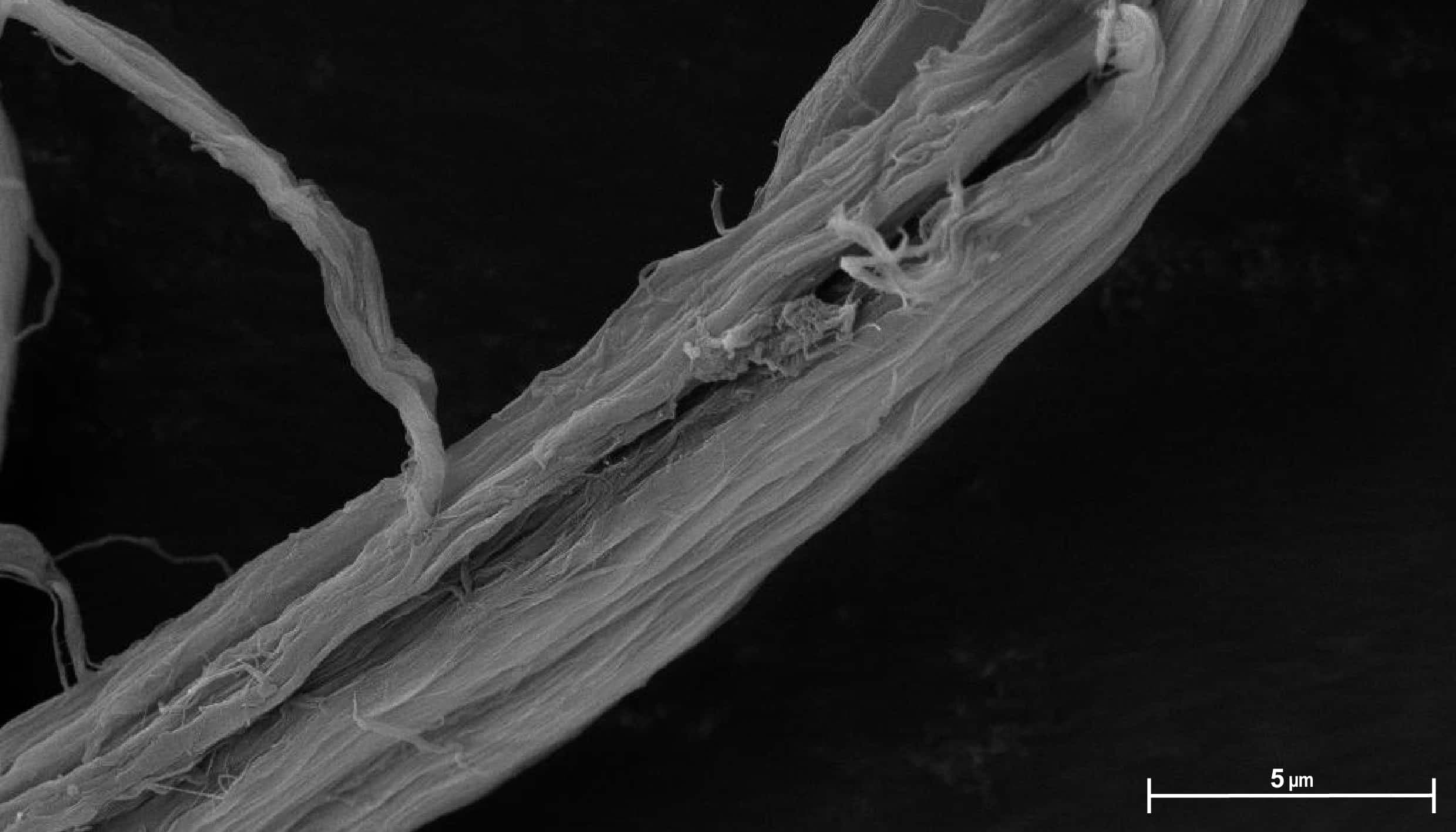 fabric-image