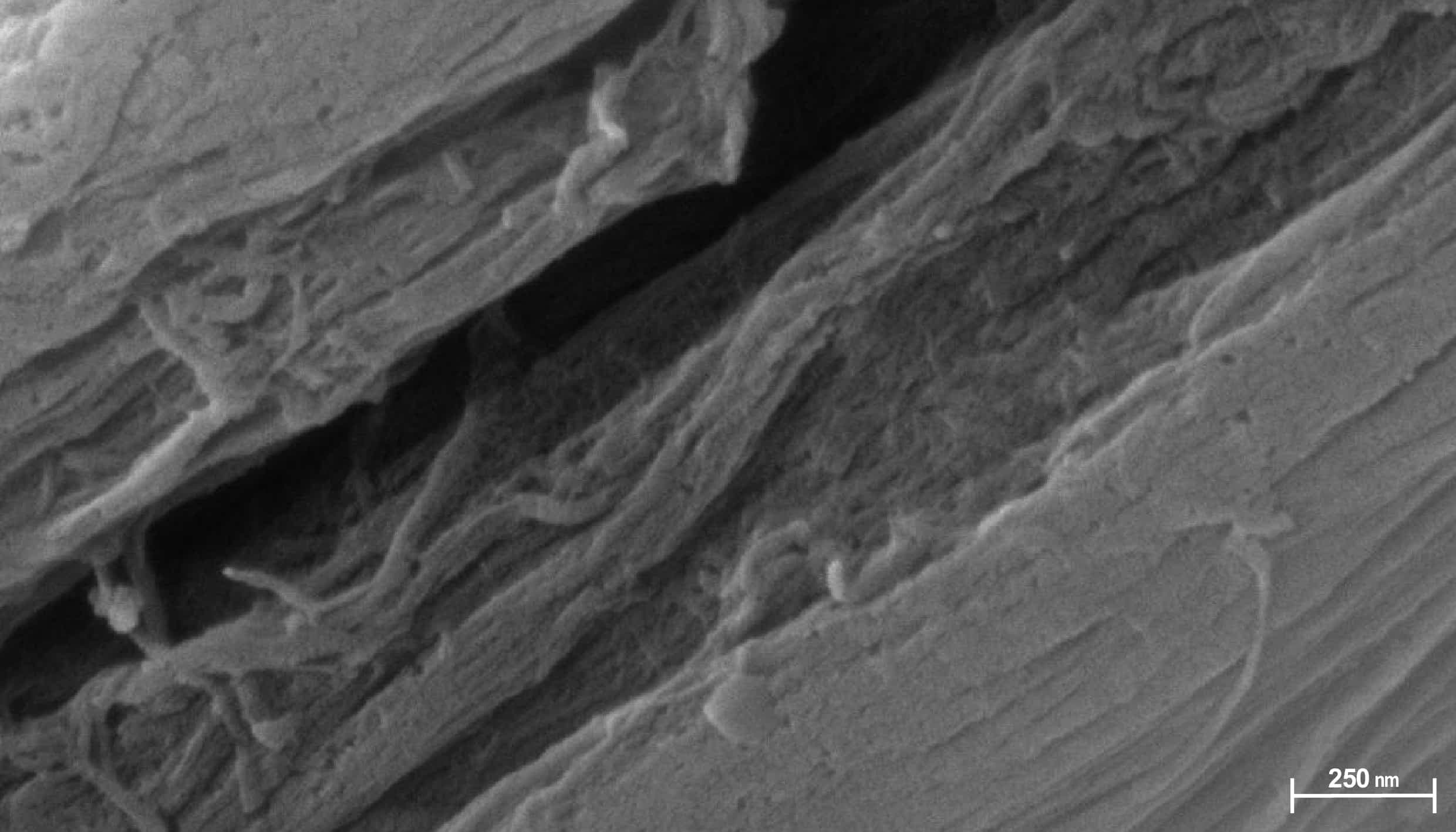 fabric-image