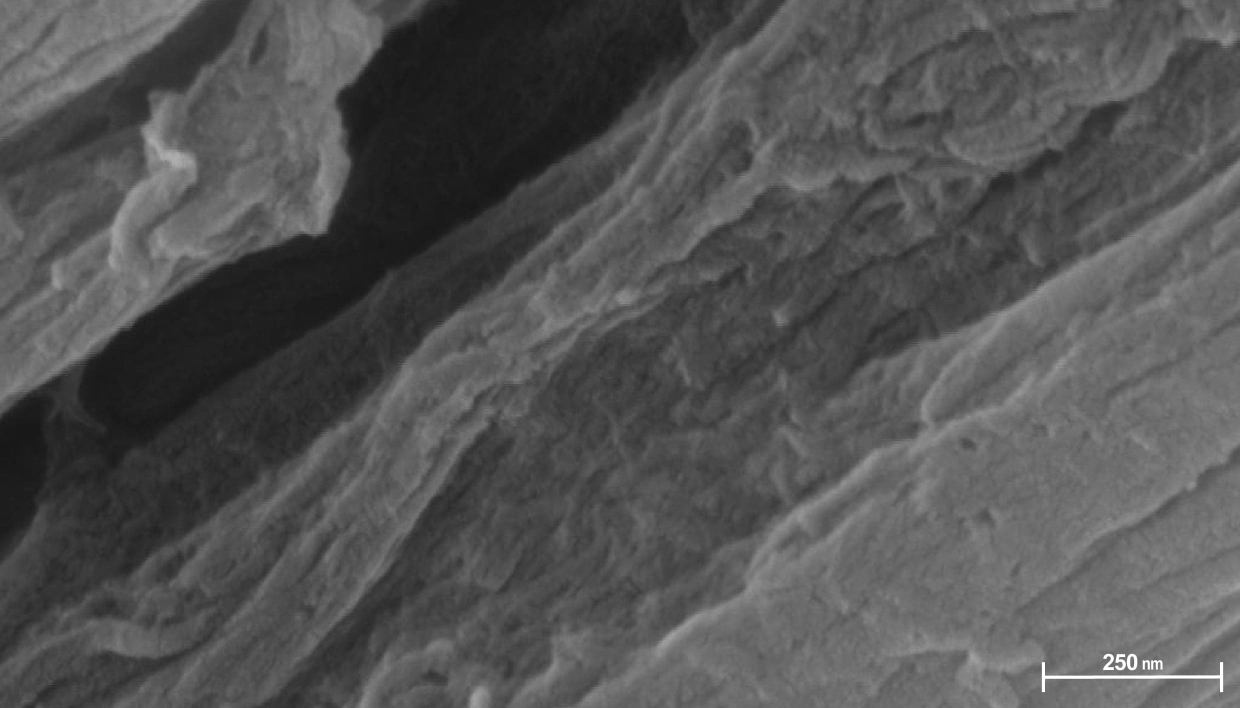 fabric-image