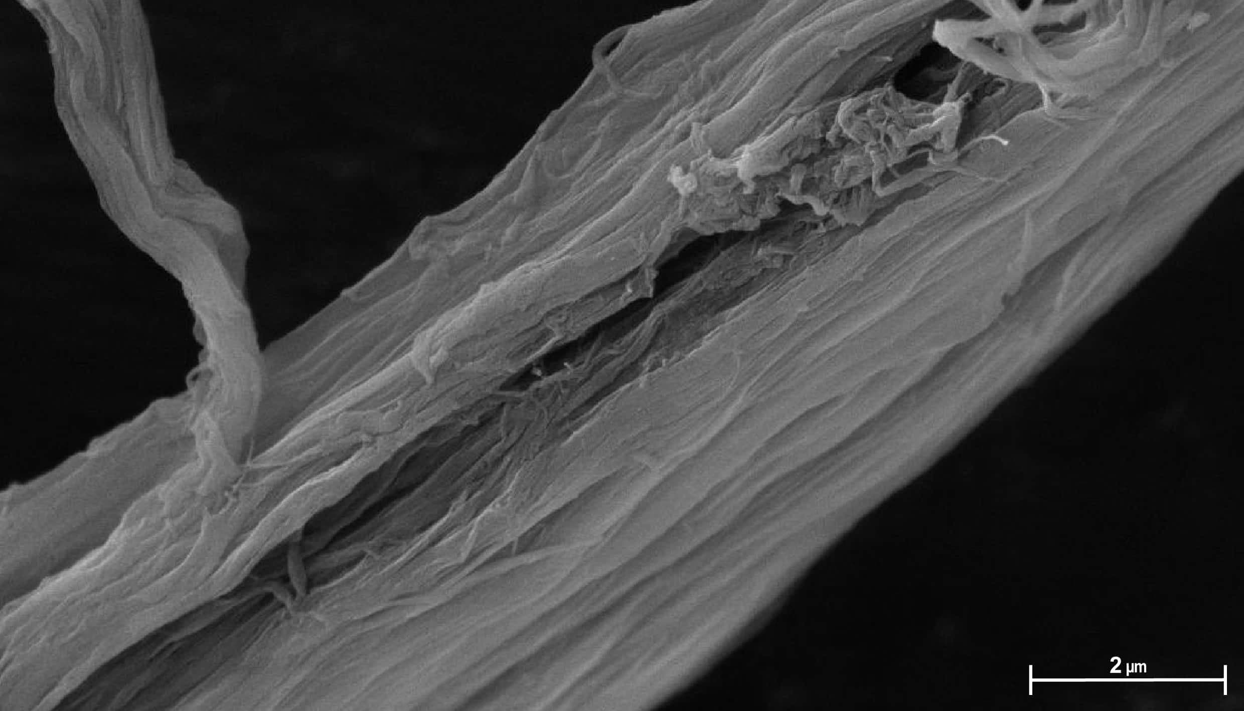 fabric-image