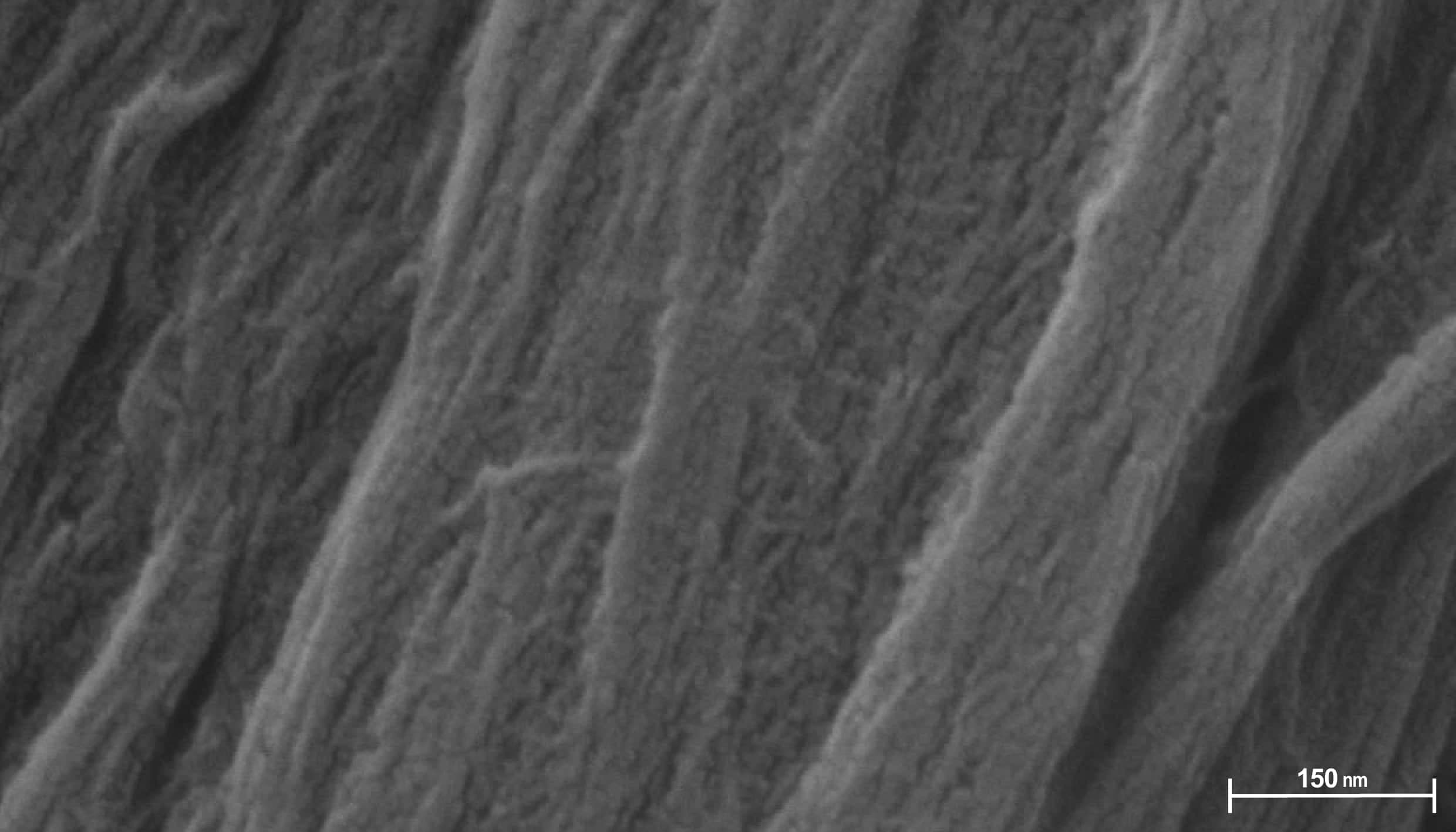 fabric-image