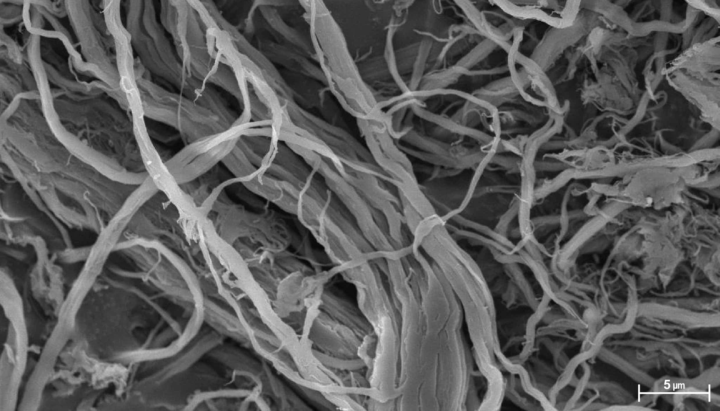 fabric-image