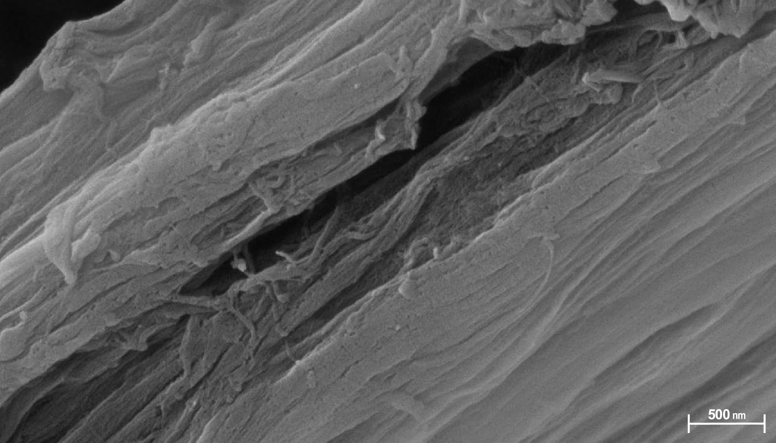 fabric-image